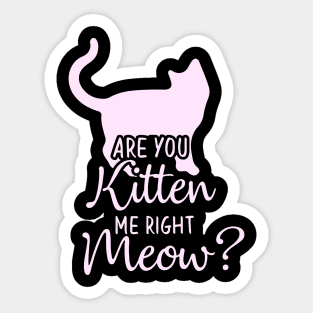 Funny Humor Cat Gift, Are You Kitten Me Right Meow Sticker